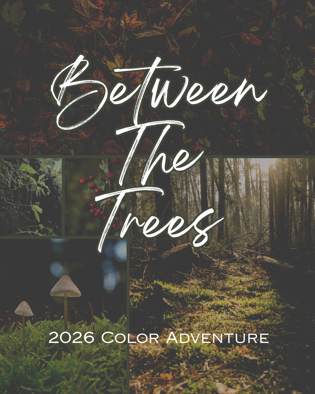 2026 Color Adventure: Between the Trees