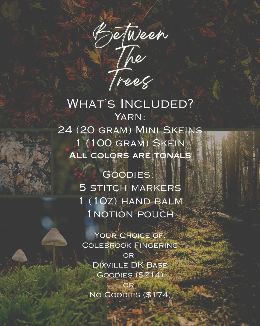 2026 Color Adventure: Between the Trees MAIN SKEIN ONLY