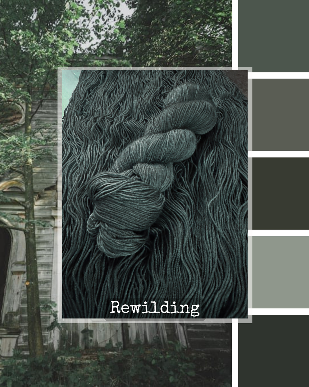Rewilding - Canaan MCN