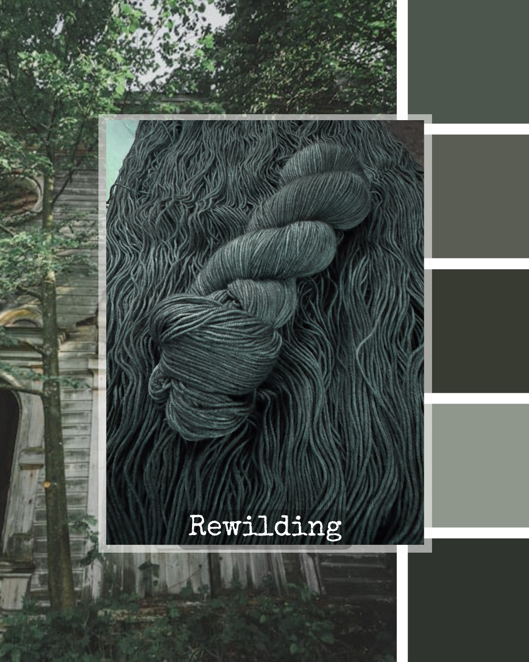 Rewilding - Canaan MCN