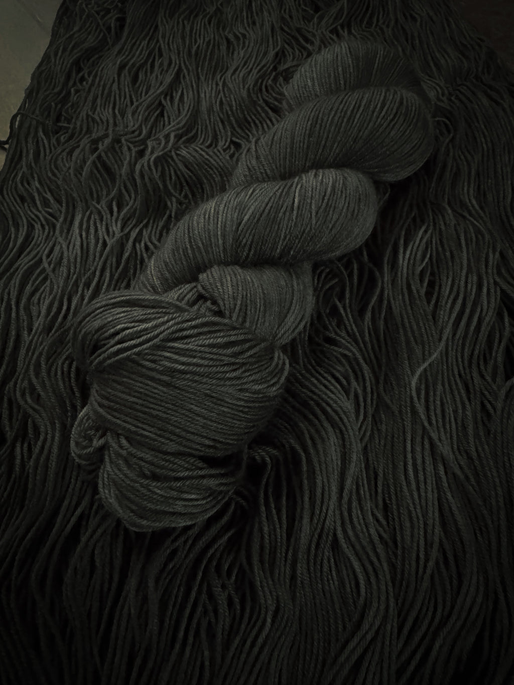 Rewilding - Canaan MCN