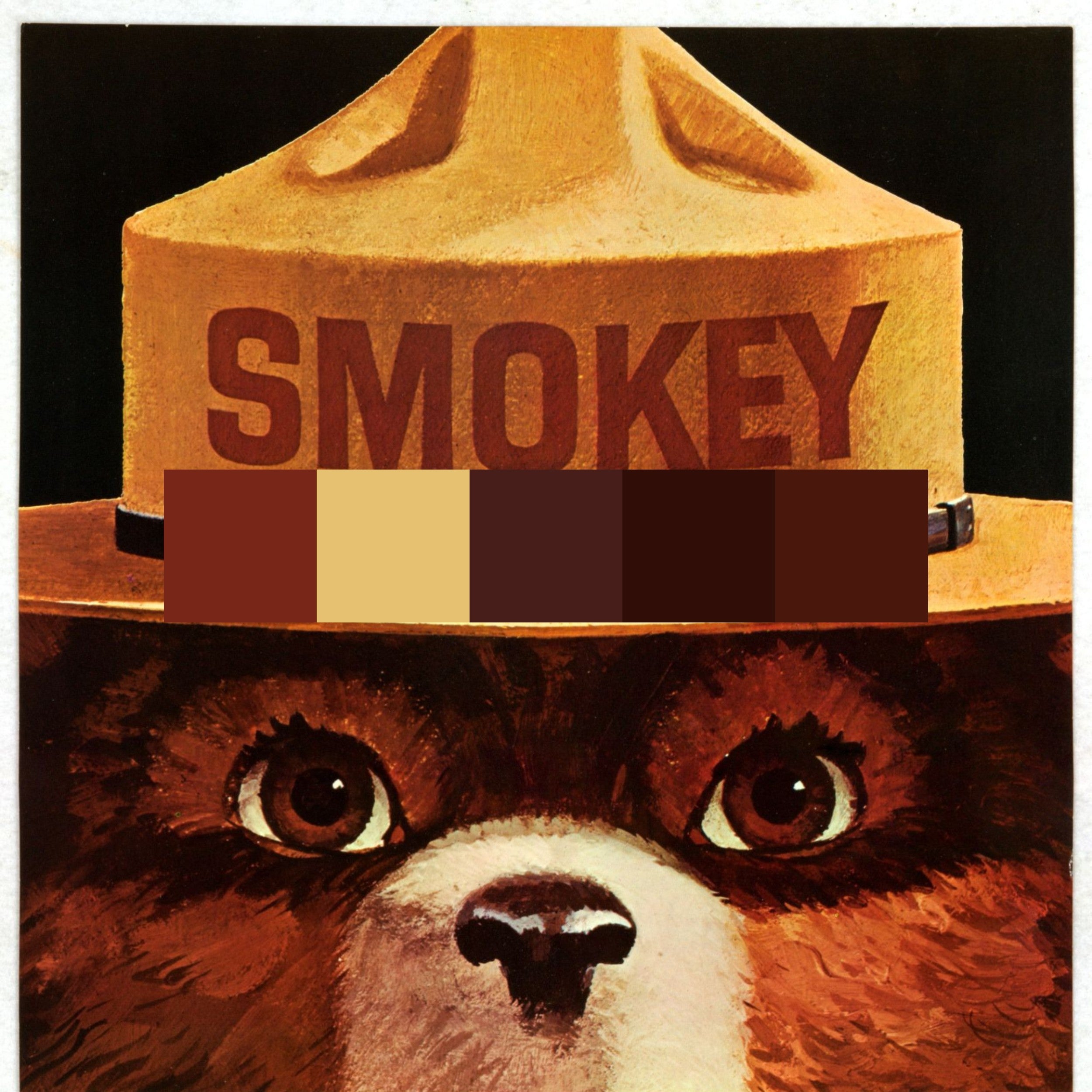 Smokey Bear Sock Set